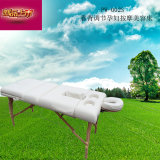 Multi-Factional Portable Massage Table\Beauty Bed\Massage Couches